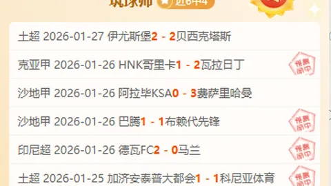 西足协主席：高度关注奥尔莫，注册讨论尚早